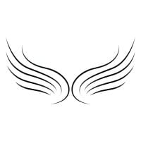 WDG logo