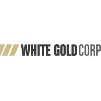 WGO logo