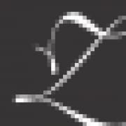 530697 logo