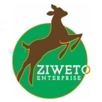 ZWTO.N0000 logo