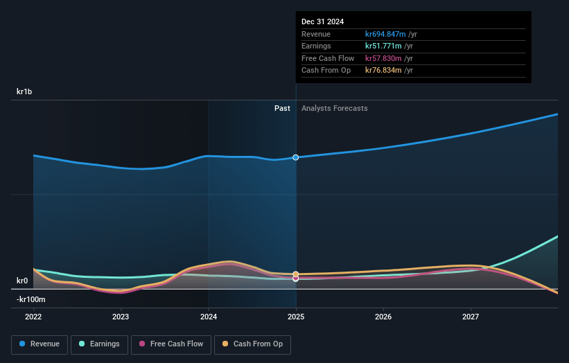 RugVista Group Earnings and Revenue Growth