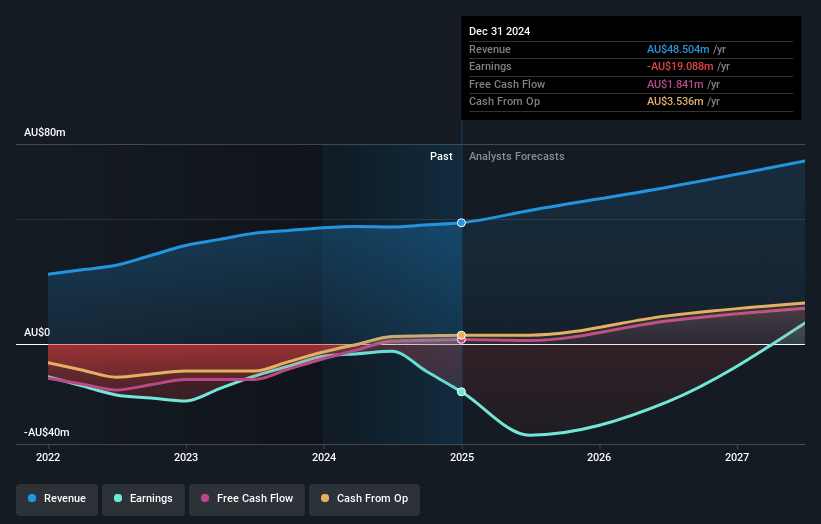 Airtasker Earnings and Revenue Growth