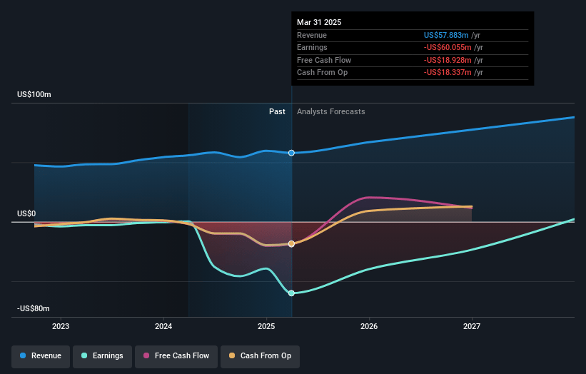 Silvaco Group Earnings and Revenue Growth
