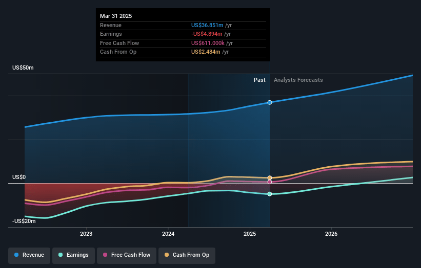 AudioEye Earnings and Revenue Growth
