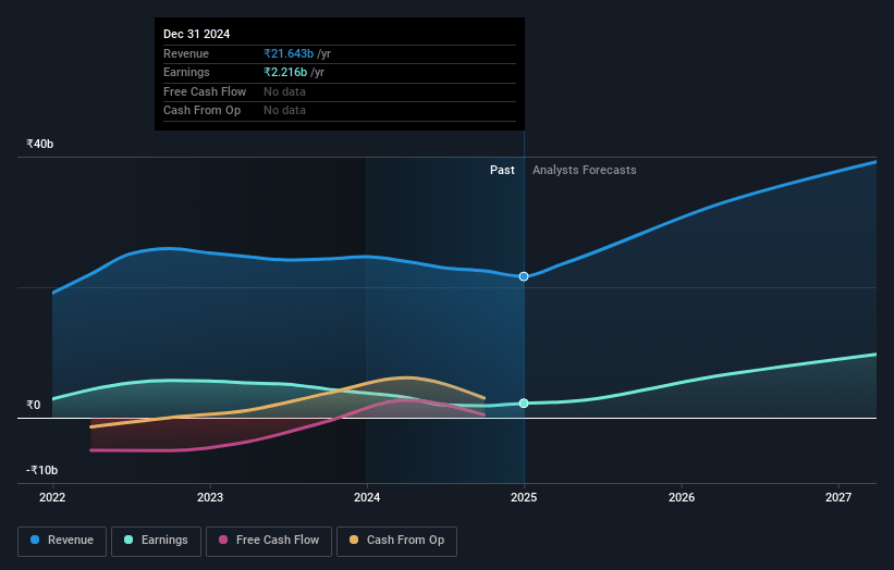 HEG Earnings and Revenue Growth