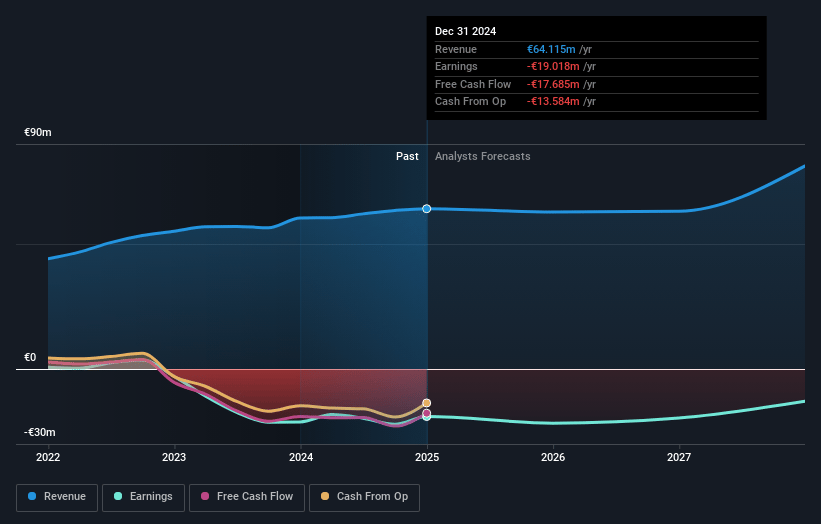 EDAP TMS Earnings and Revenue Growth