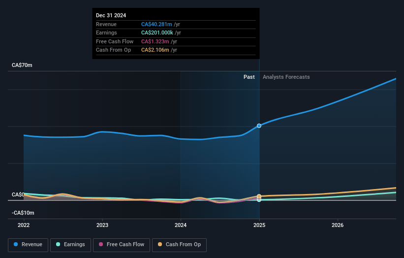 BluMetric Environmental Earnings and Revenue Growth