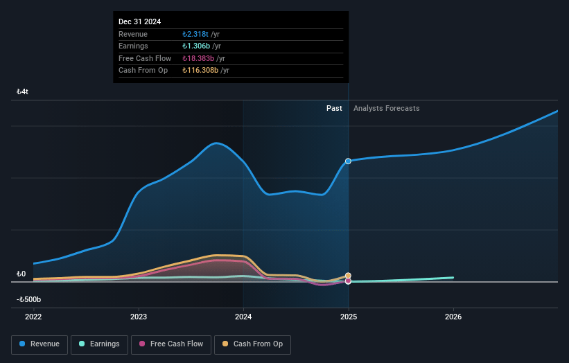 Koç Holding Earnings and Revenue Growth