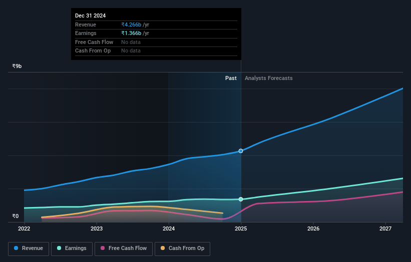 C. E. Info Systems Earnings and Revenue Growth