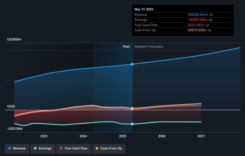 Amplitude Earnings and Revenue Growth