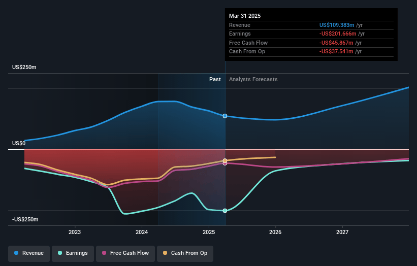 Blink Charging Earnings and Revenue Growth