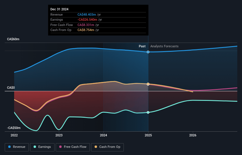 LifeSpeak Earnings and Revenue Growth