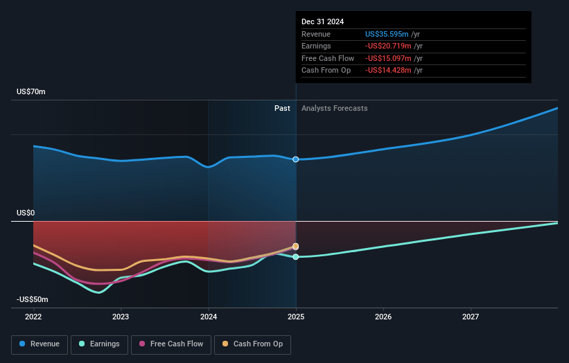 Cytosorbents Earnings and Revenue Growth