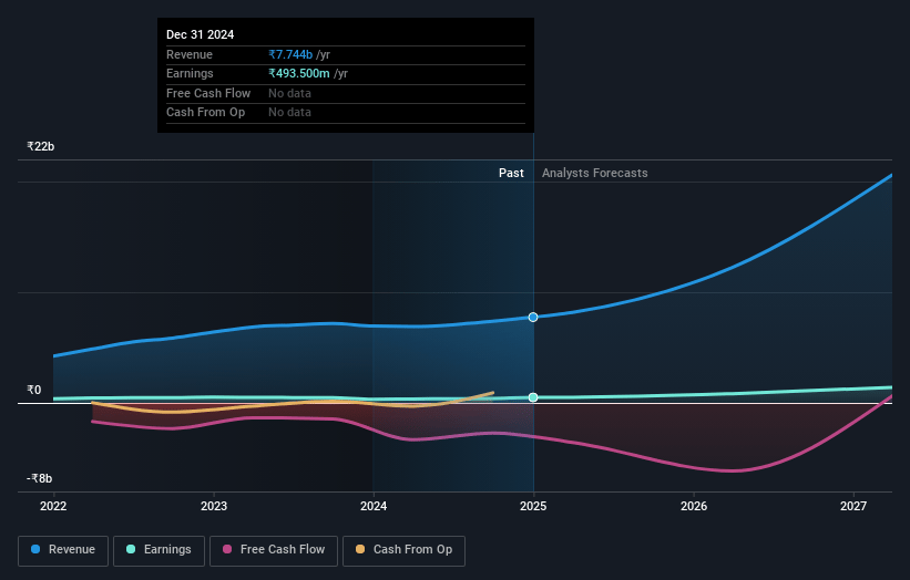 Neogen Chemicals Earnings and Revenue Growth