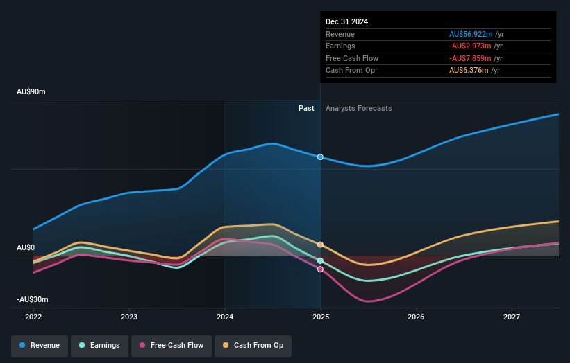 PlaySide Studios Earnings and Revenue Growth