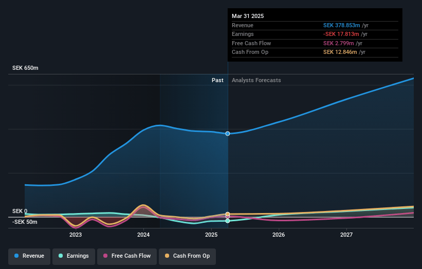 W5 Solutions Earnings and Revenue Growth