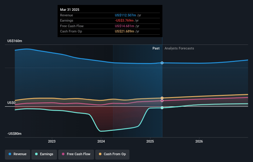 CareCloud Earnings and Revenue Growth
