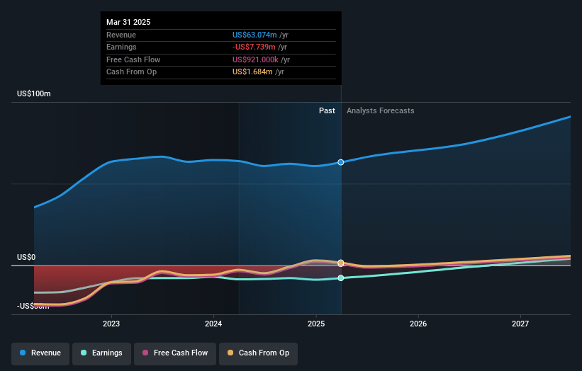Flux Power Holdings Earnings and Revenue Growth