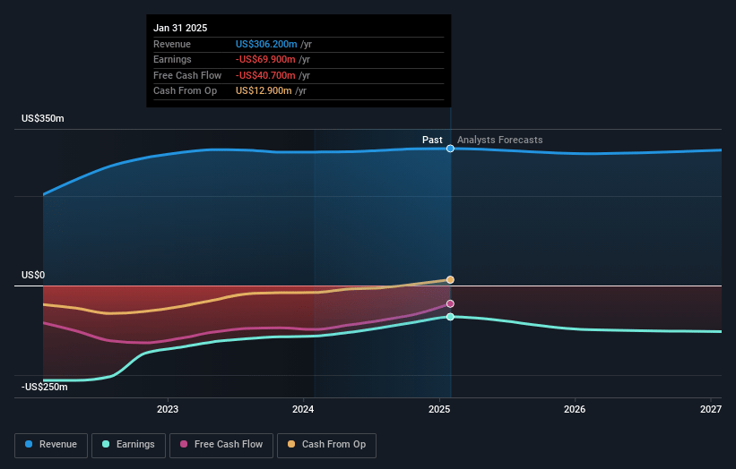 Rent the Runway Earnings and Revenue Growth
