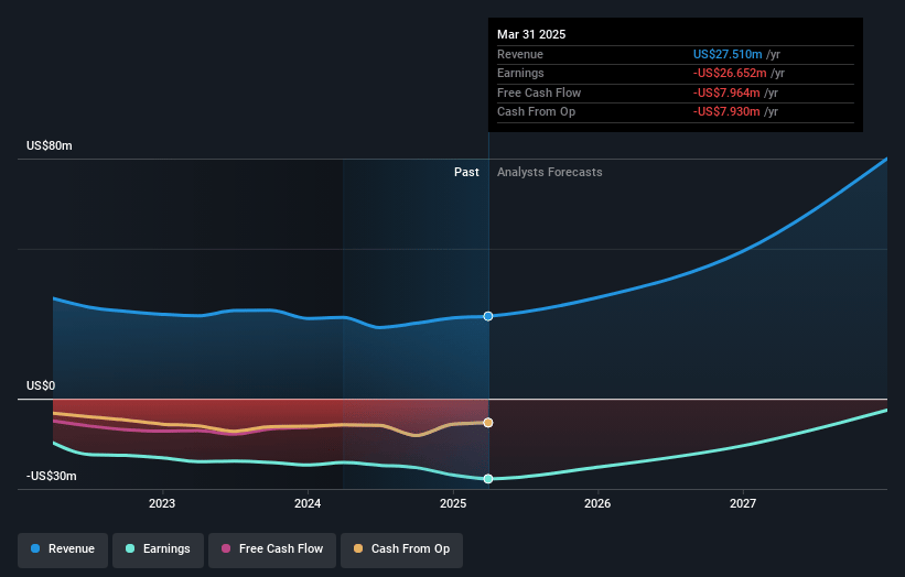 Stereotaxis Earnings and Revenue Growth