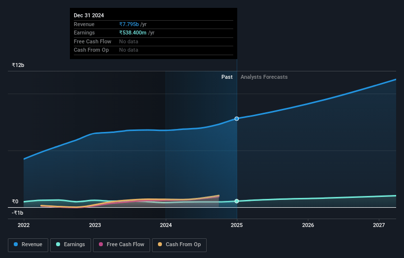 Allied Digital Services Earnings and Revenue Growth