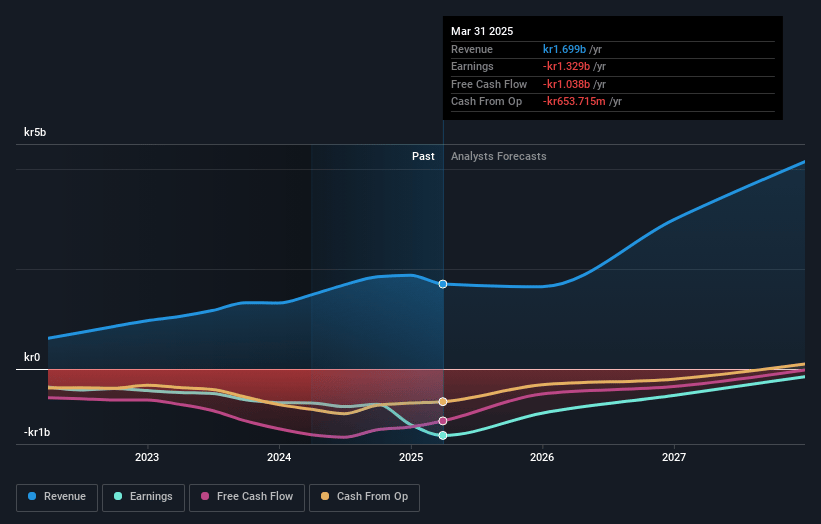 Hexagon Purus Earnings and Revenue Growth