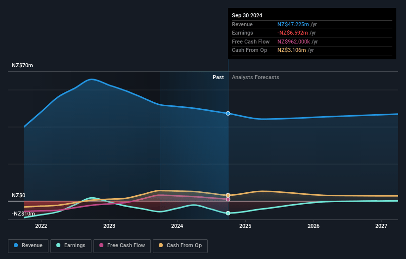 Straker Earnings and Revenue Growth