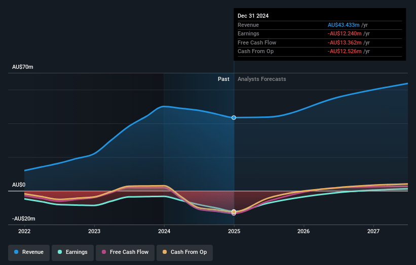 Camplify Holdings Earnings and Revenue Growth