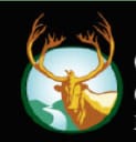 GCC logo