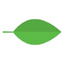 LST logo