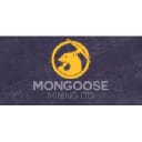MNG logo