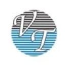 NSEI:VILAS logo
