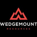 WDGY logo