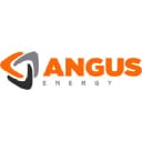 AIM:ANGS logo