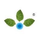 ANURAS logo