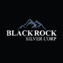 BRC logo