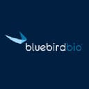 BLUE logo