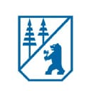 BRG logo