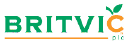 BVIC logo