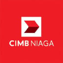 BNGA logo