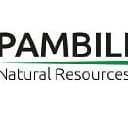 PNN logo