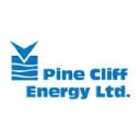 PNE logo