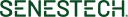 SNES logo