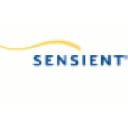 SXT logo