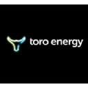 TOE logo