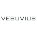 VSVS logo