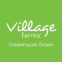 VFF logo