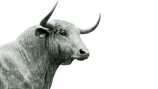 📈 Markets Break Records: Q3 2025 in Review, Q4 Outlook Ahead cover