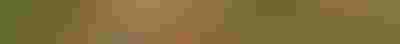 NIKE, Inc. logo