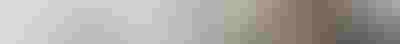 ADEN logo